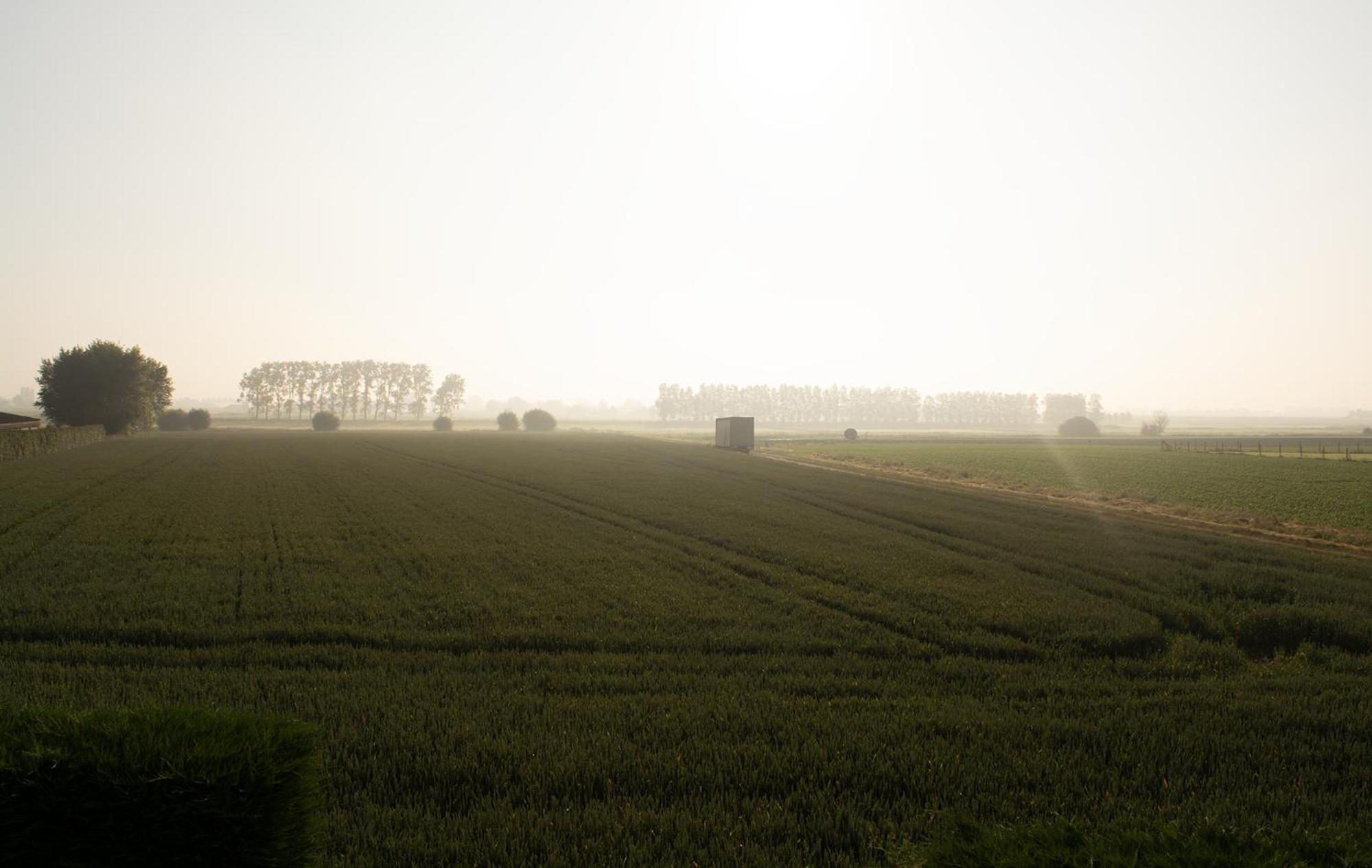't Cappellelandhof