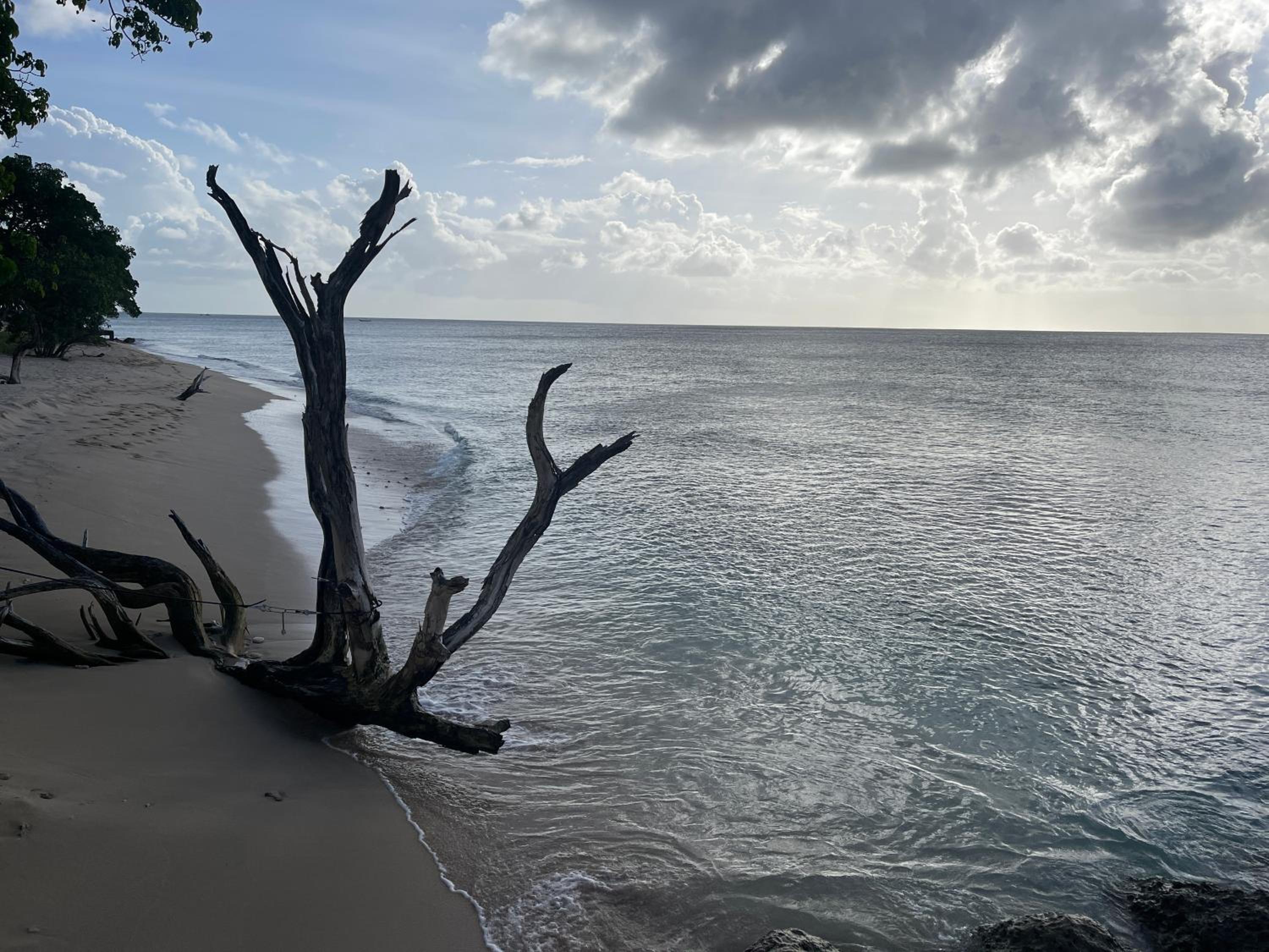 Holland Park Barbados