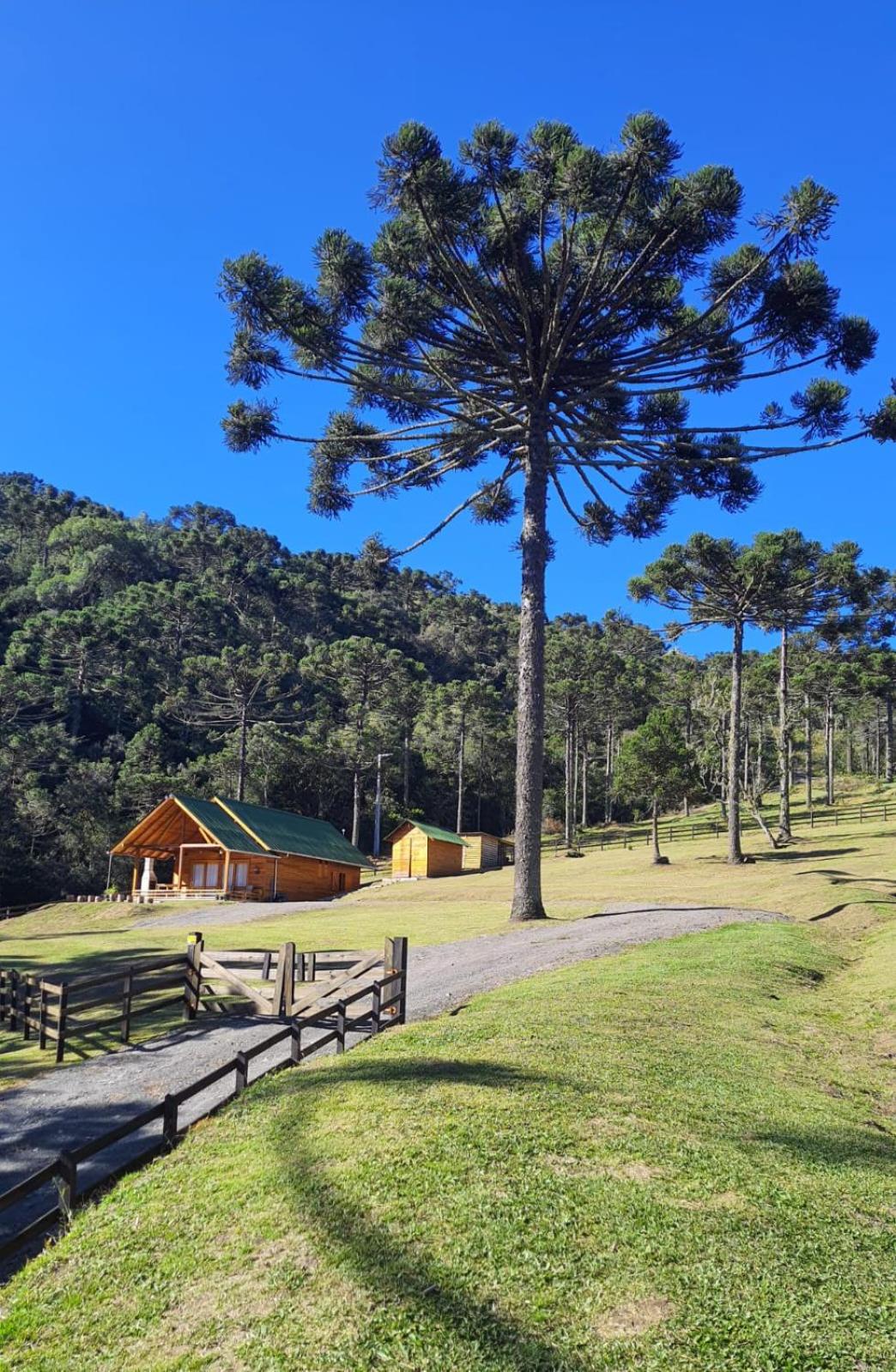 Quinta do Vale - Cabana Família view 3