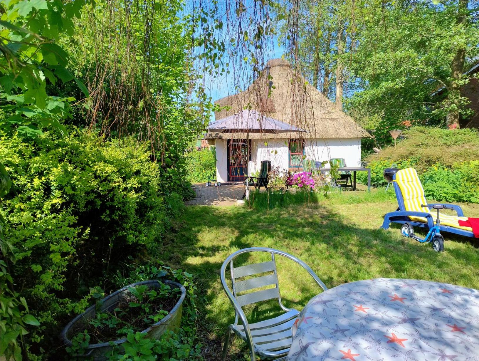 Unser Froschhaus