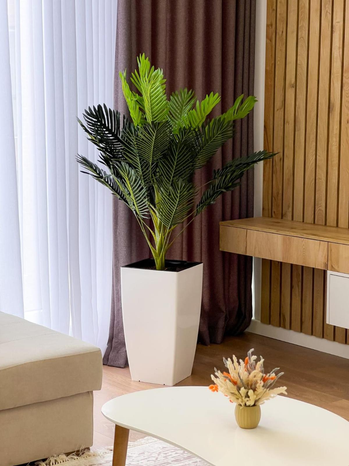 Boulevard Apartment