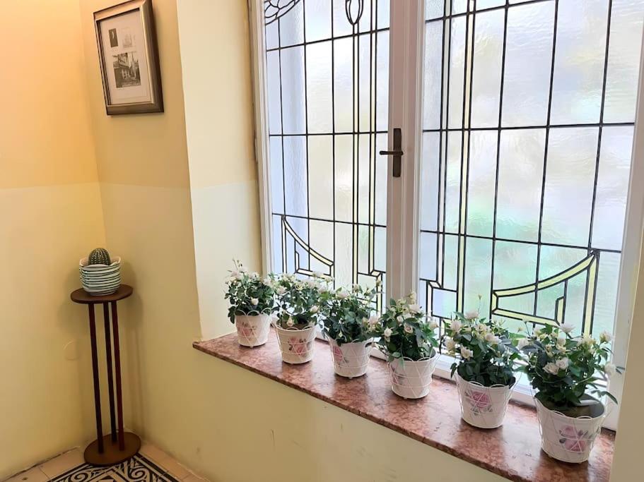 Villa AlexanderCharmante Wohnung mit Bergblick, Villa Alexander