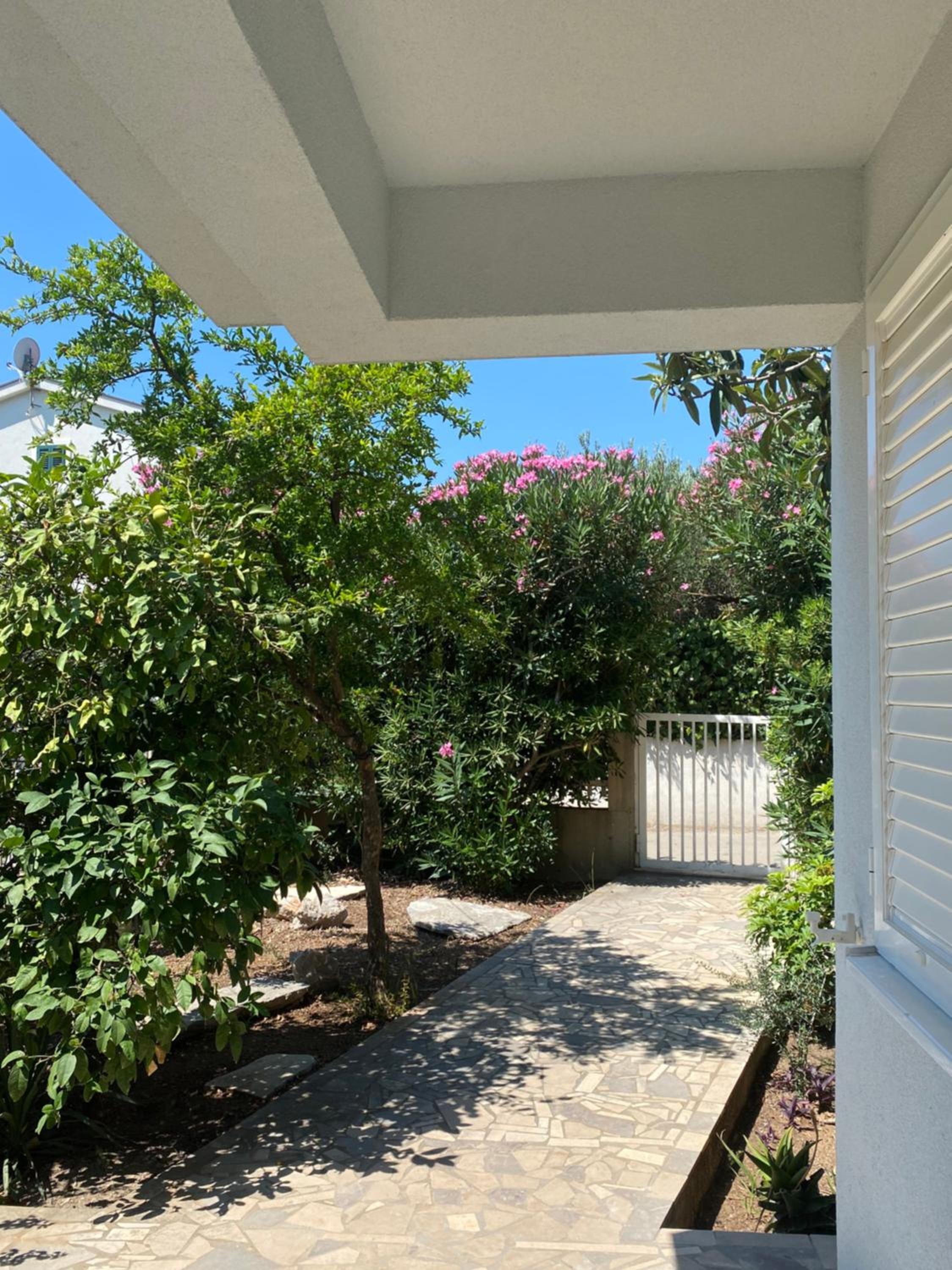 Dalmat House view 3