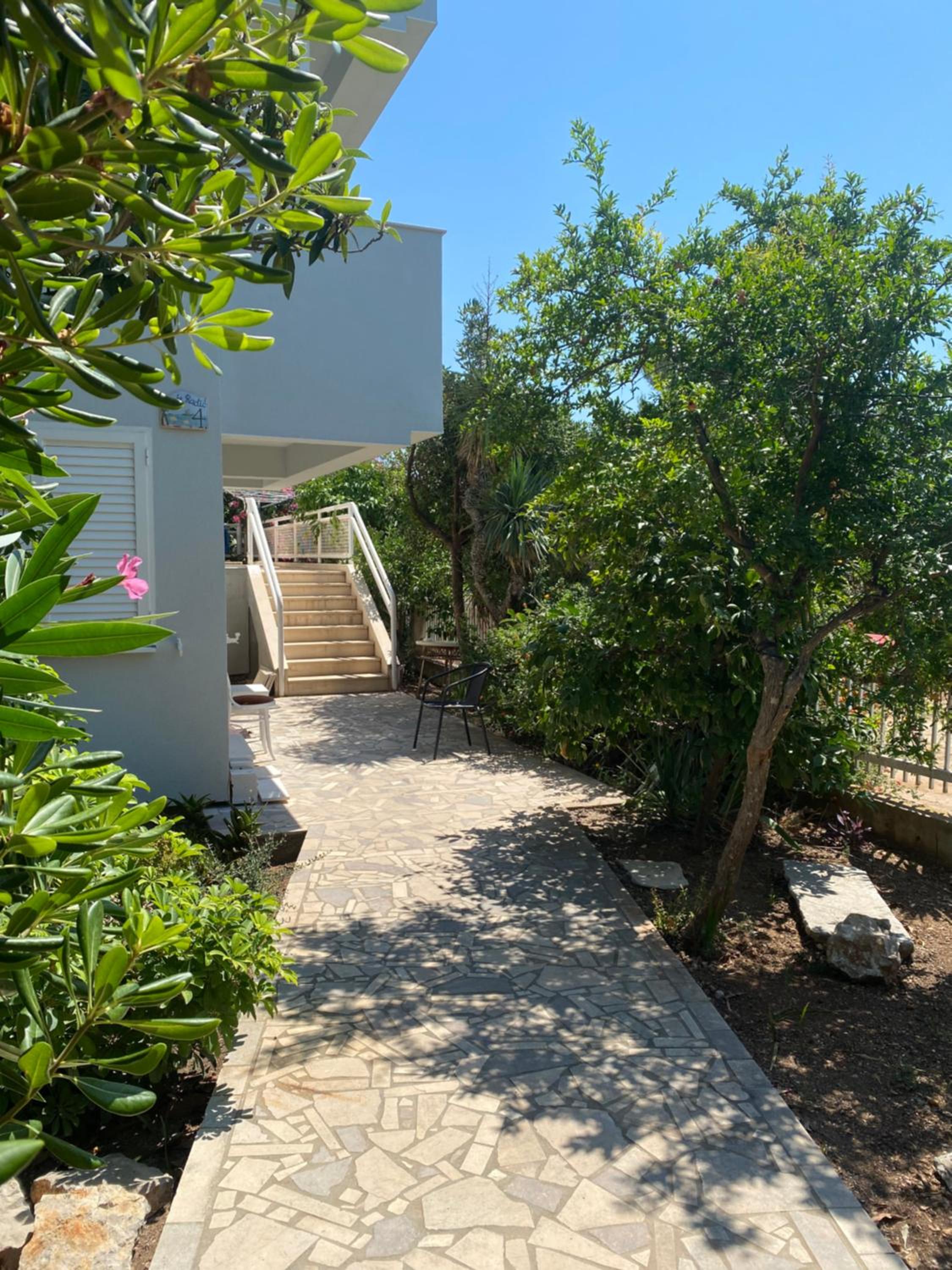 Dalmat House view 4