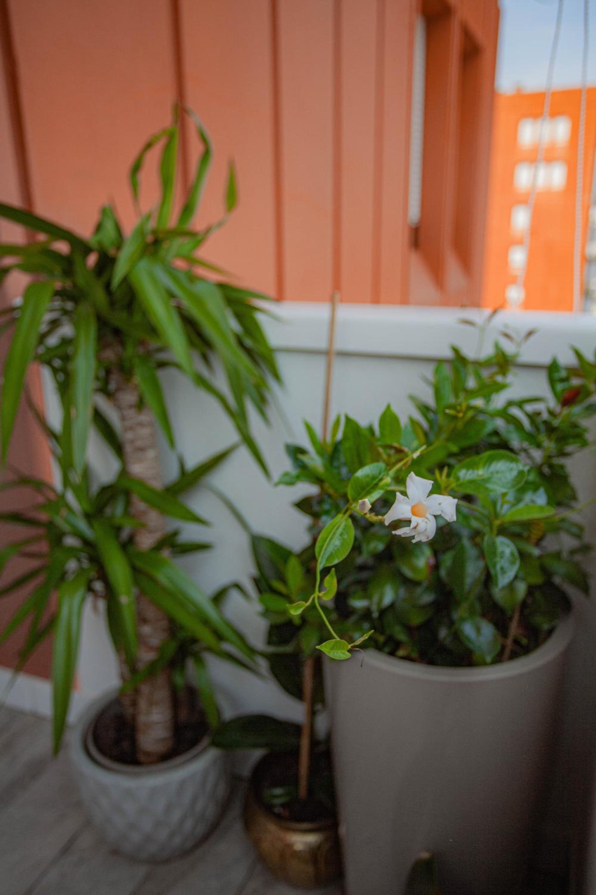 B&B Casa VikToria- Appartamento raffinato e spazioso