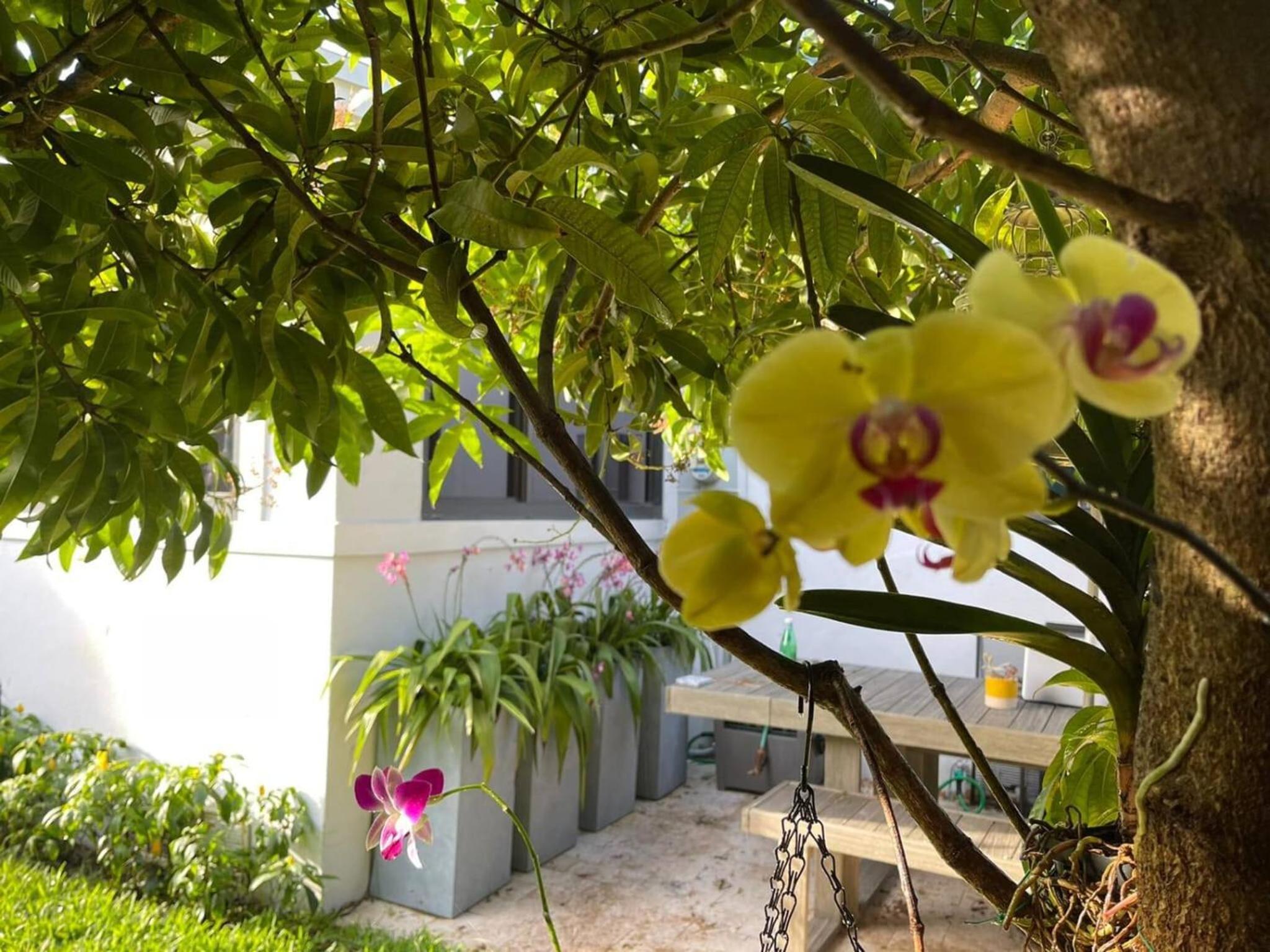 Experience Miami Magic: Tropical Pool Escape