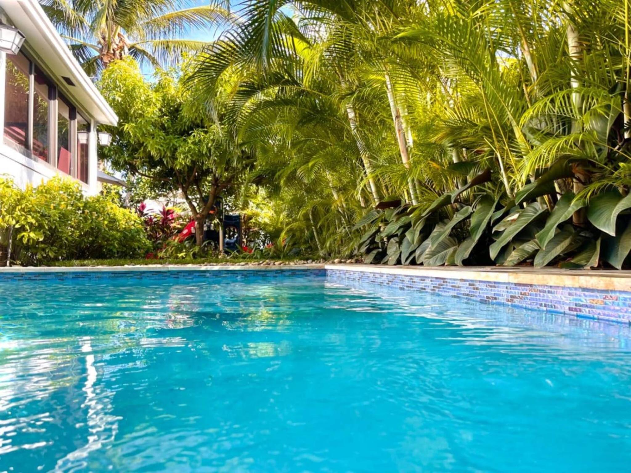 Experience Miami Magic: Tropical Pool Escape