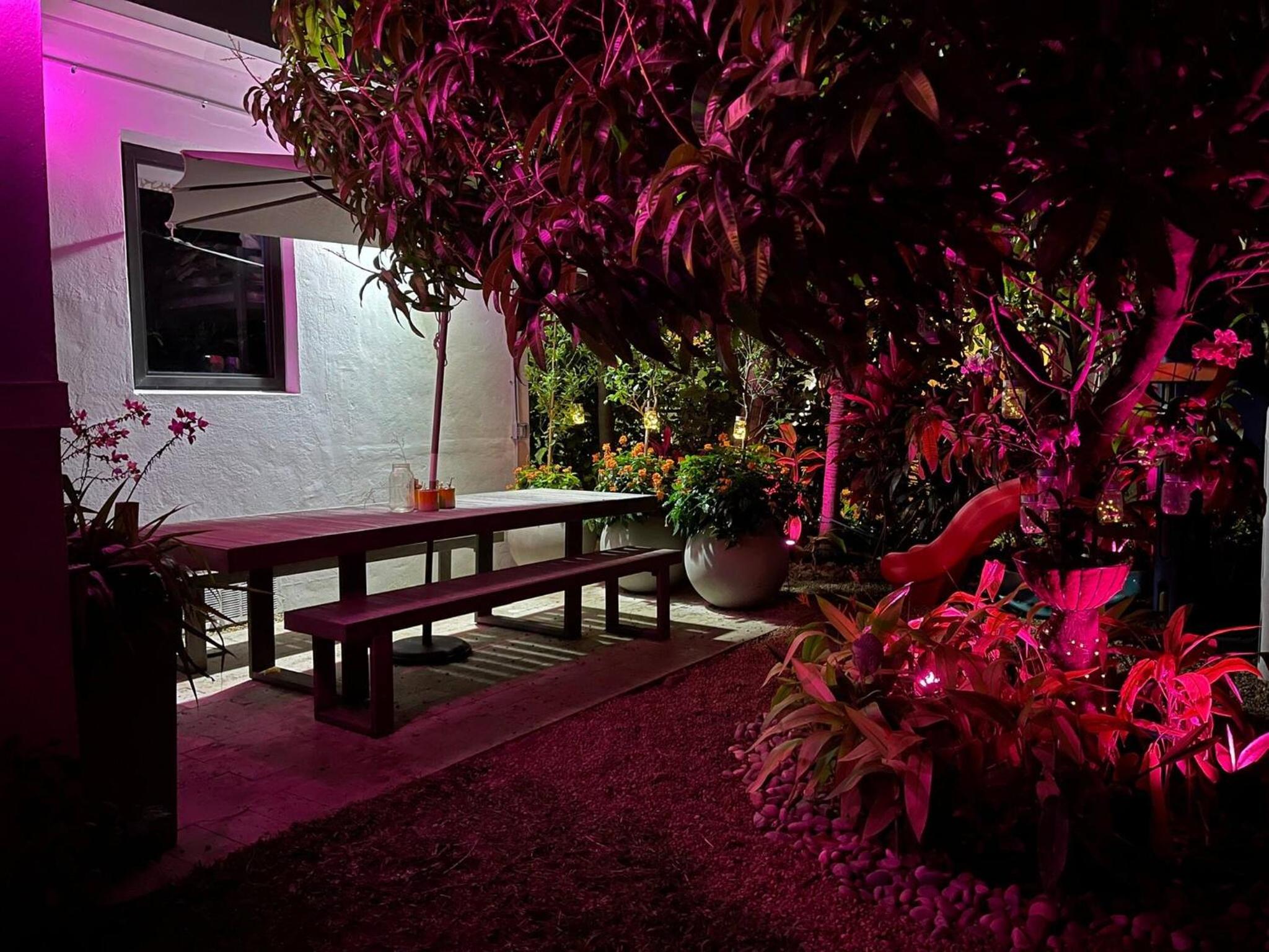 Experience Miami Magic: Tropical Pool Escape