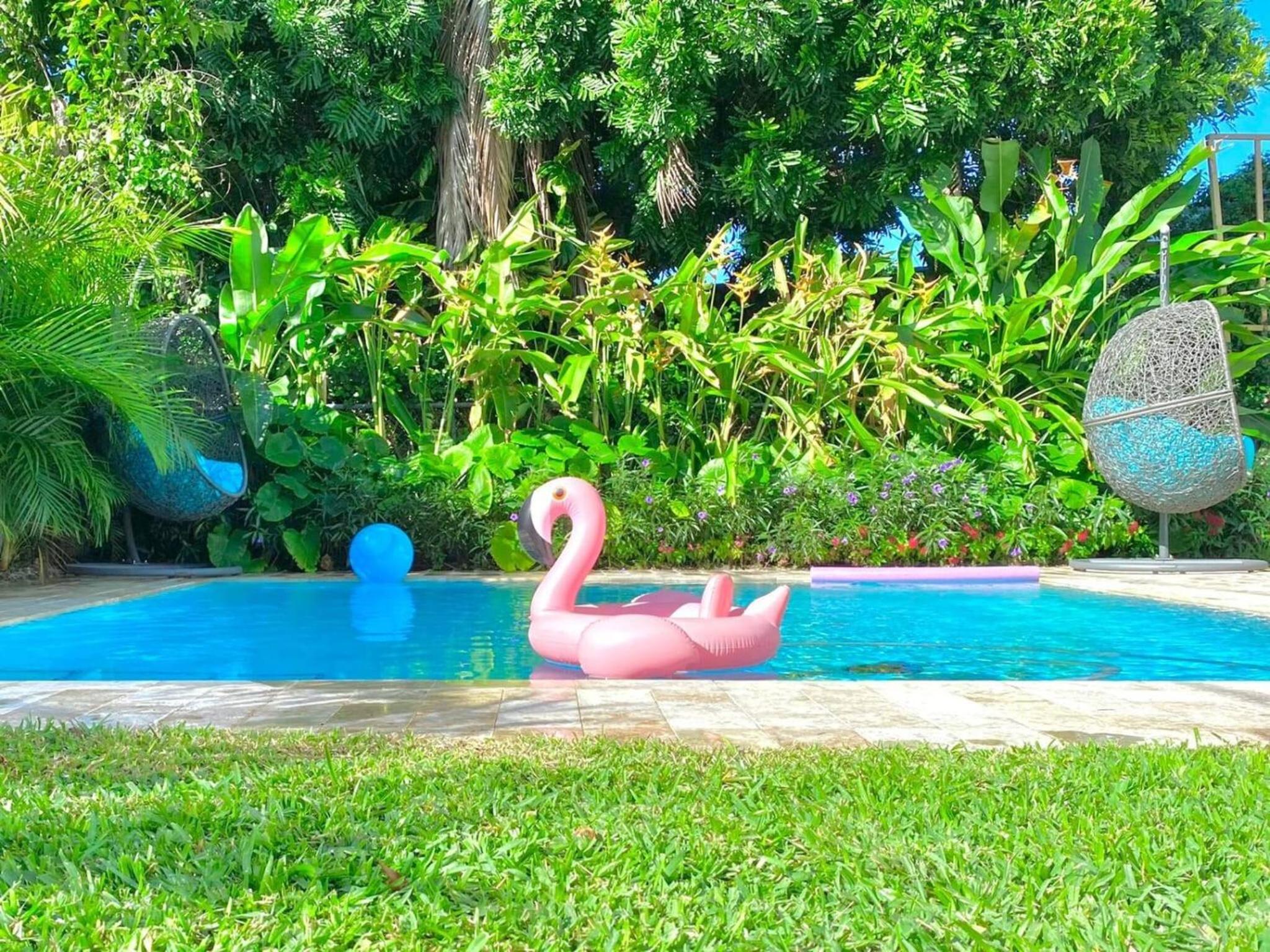 Experience Miami Magic: Tropical Pool Escape