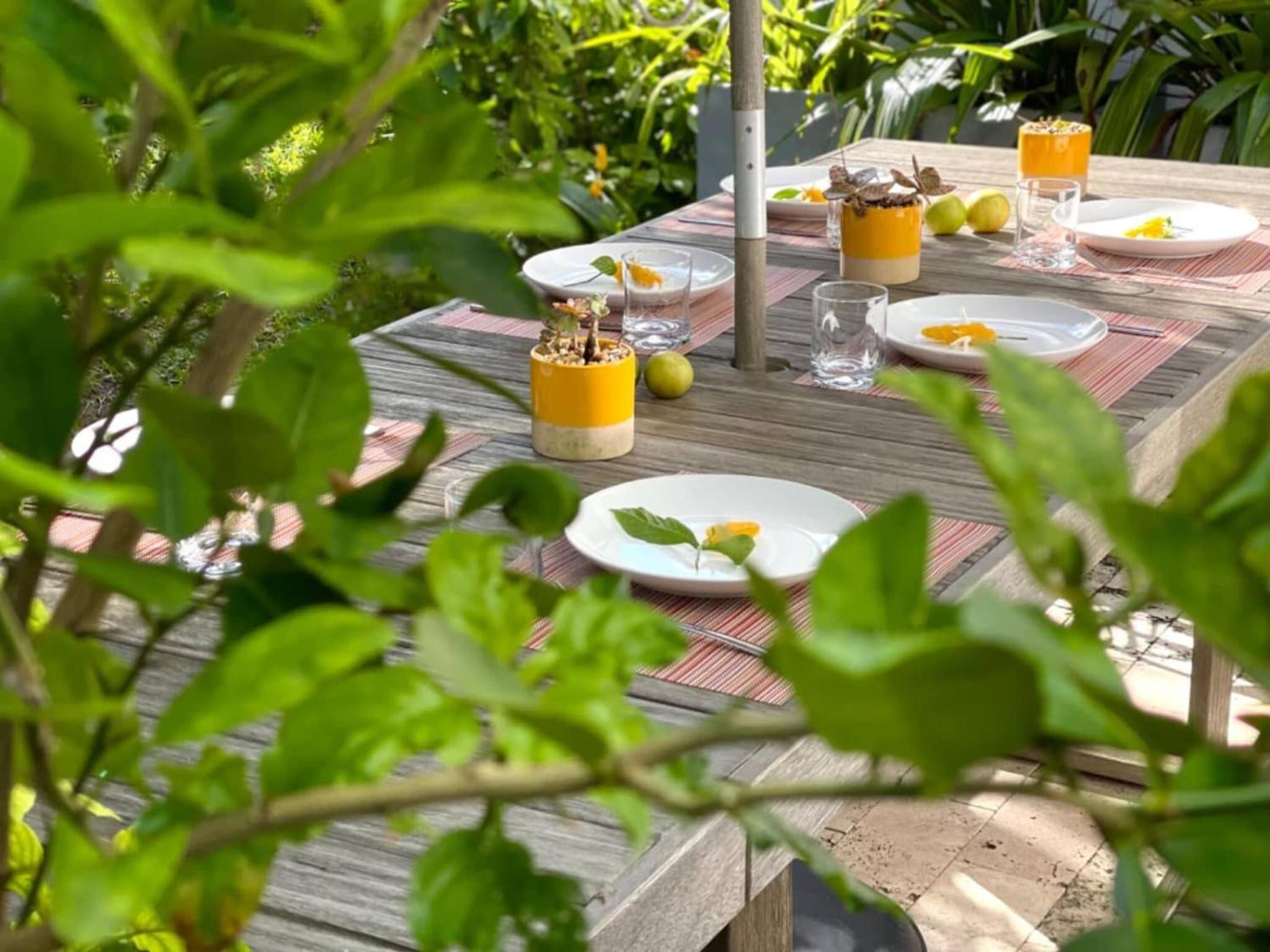 Experience Miami Magic: Tropical Pool Escape