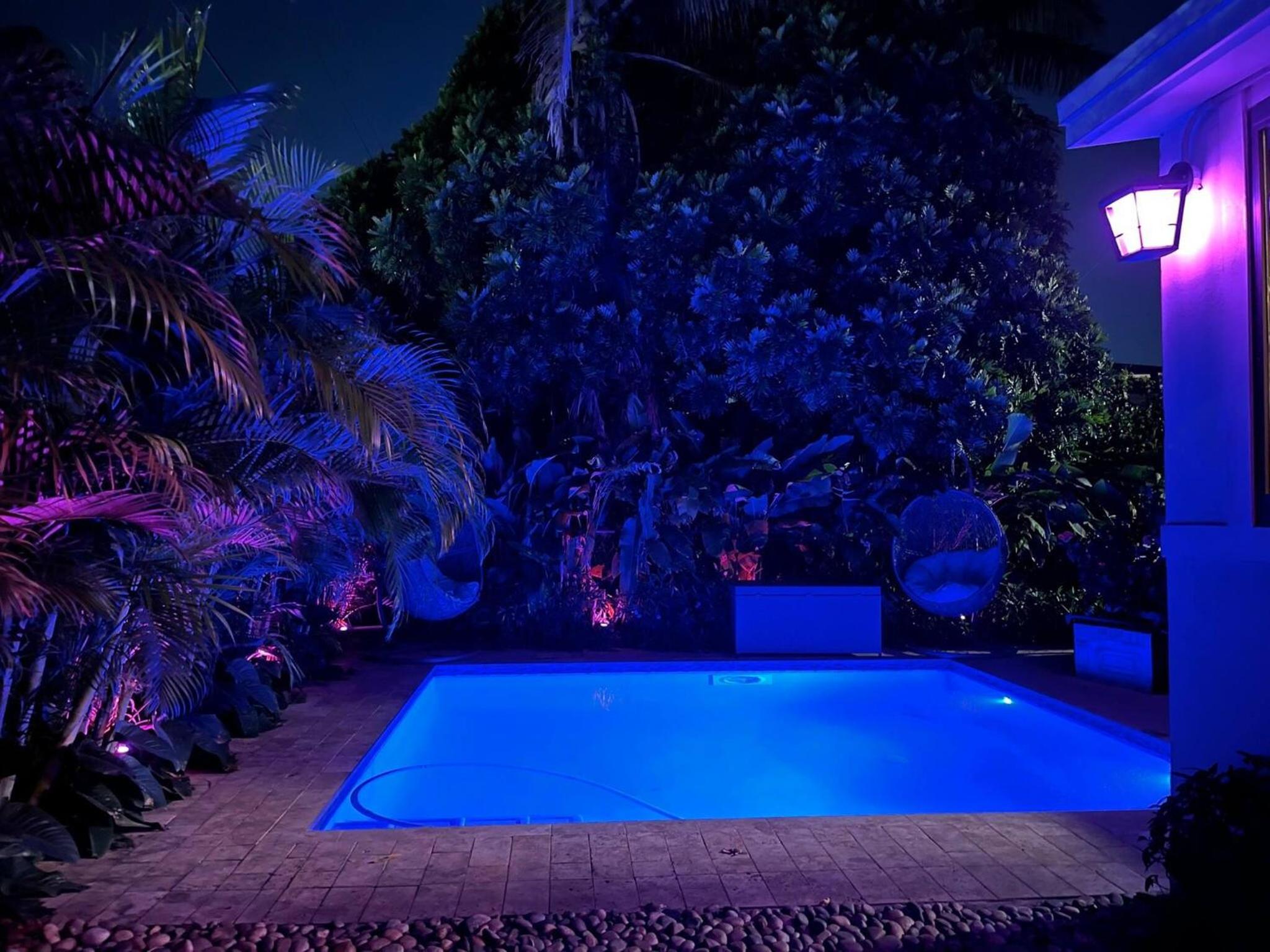 Experience Miami Magic: Tropical Pool Escape