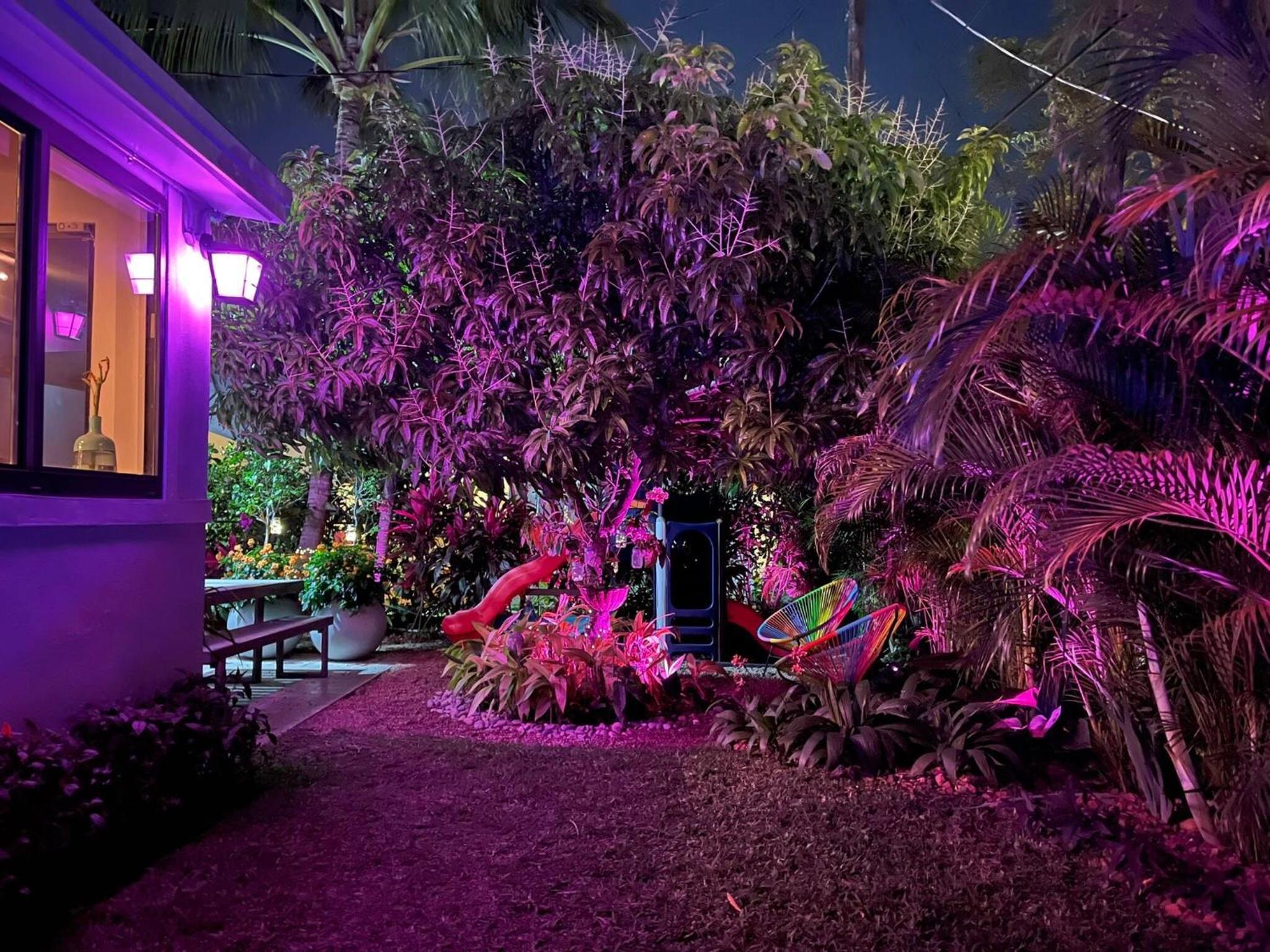Experience Miami Magic: Tropical Pool Escape