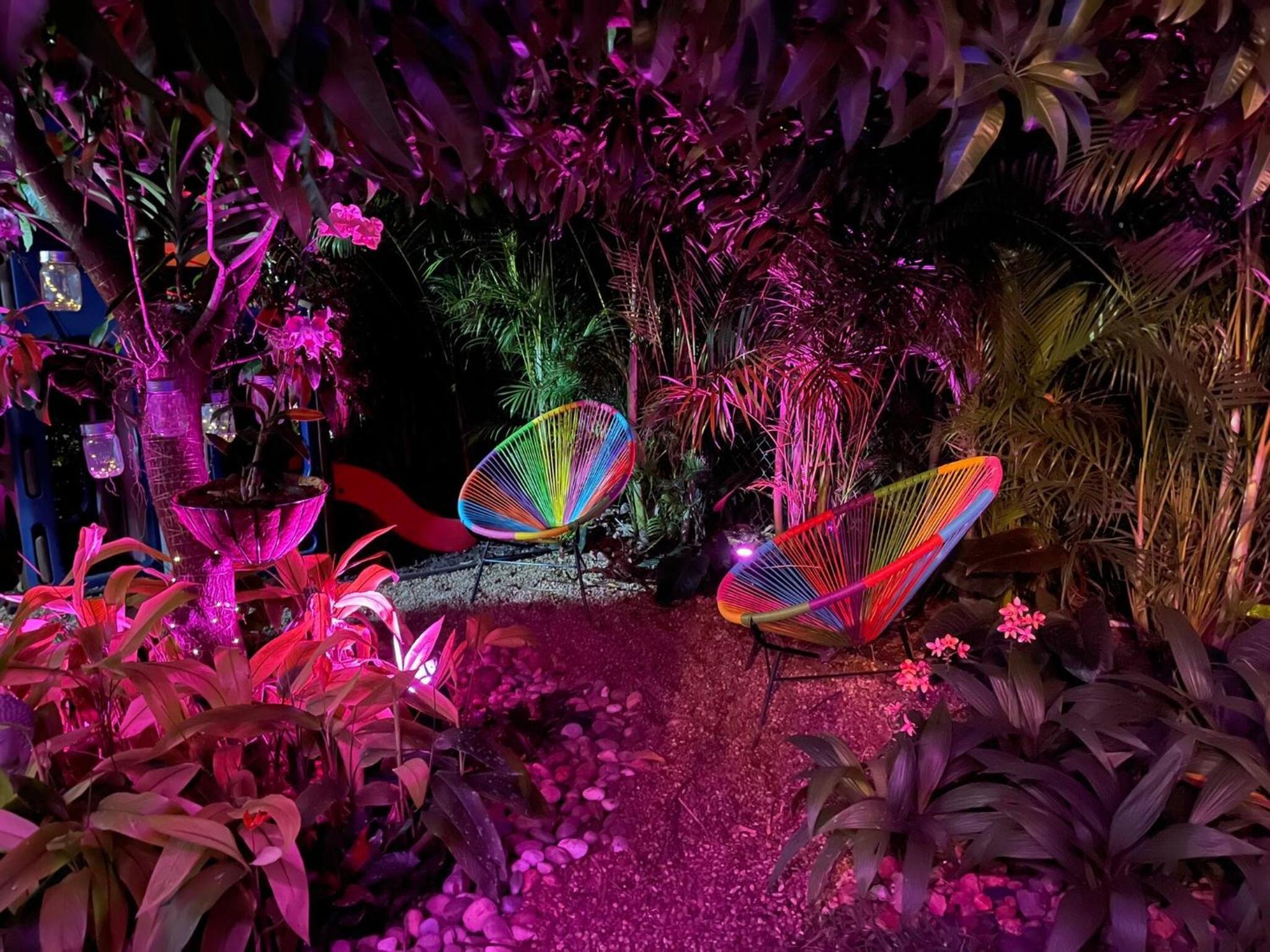 Experience Miami Magic: Tropical Pool Escape