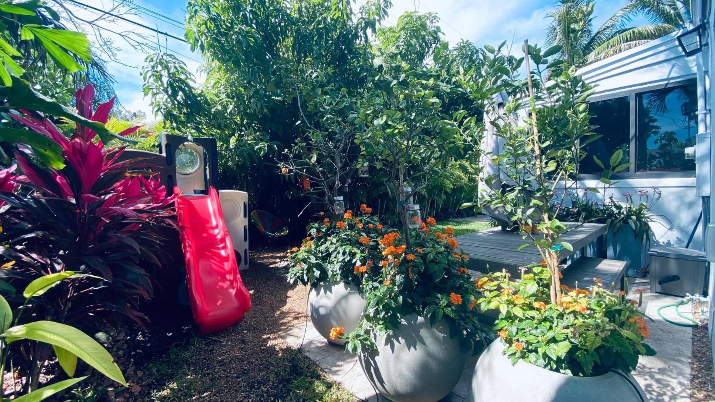 Experience Miami Magic: Tropical Pool Escape