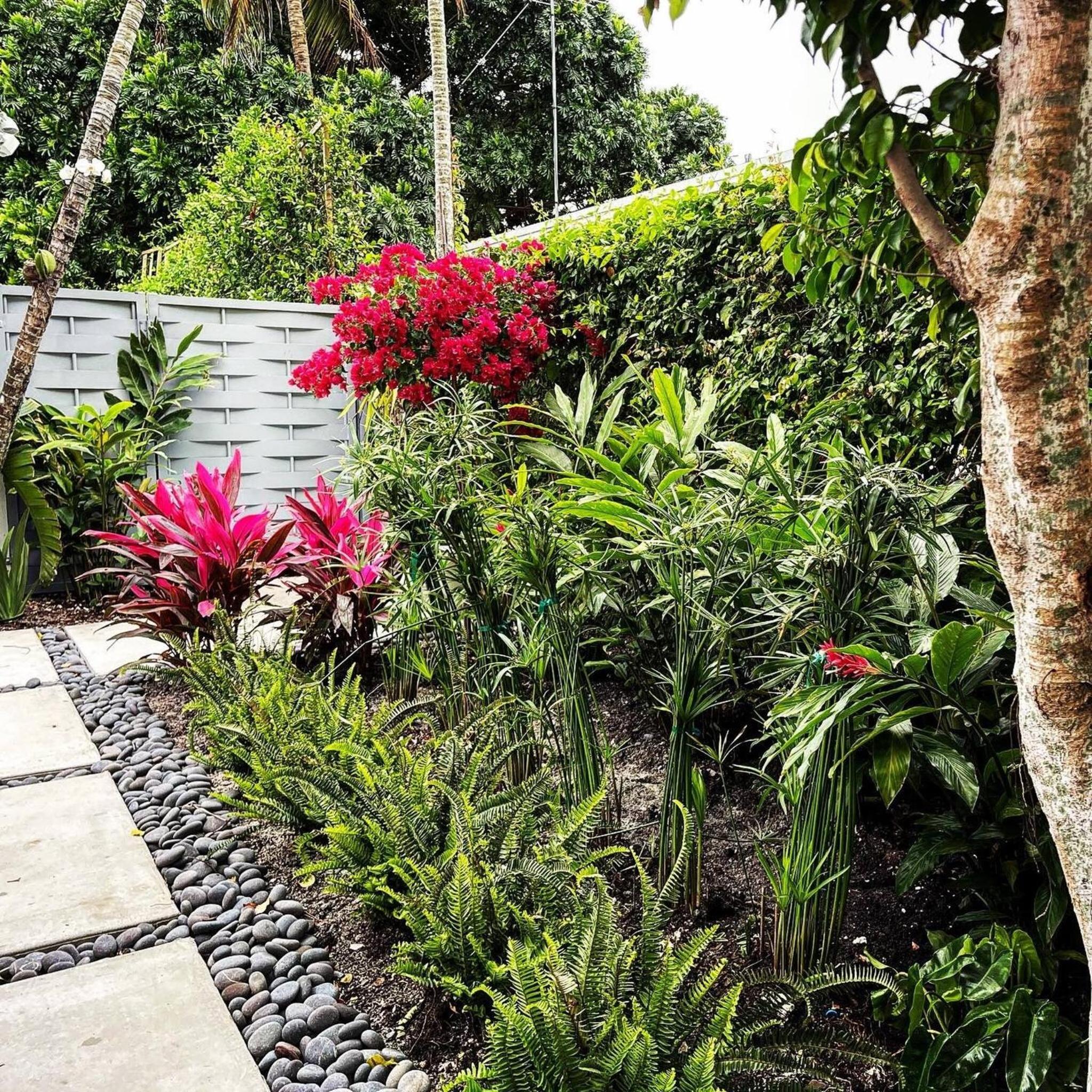 Experience Miami Magic: Tropical Pool Escape