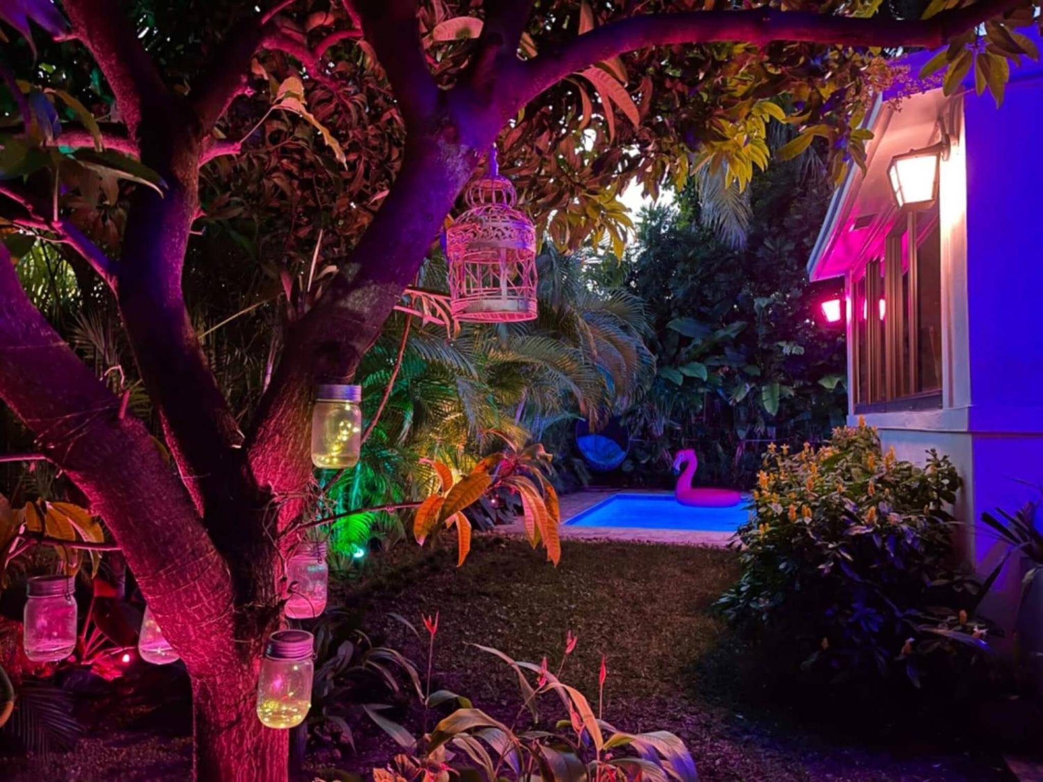 Experience Miami Magic: Tropical Pool Escape