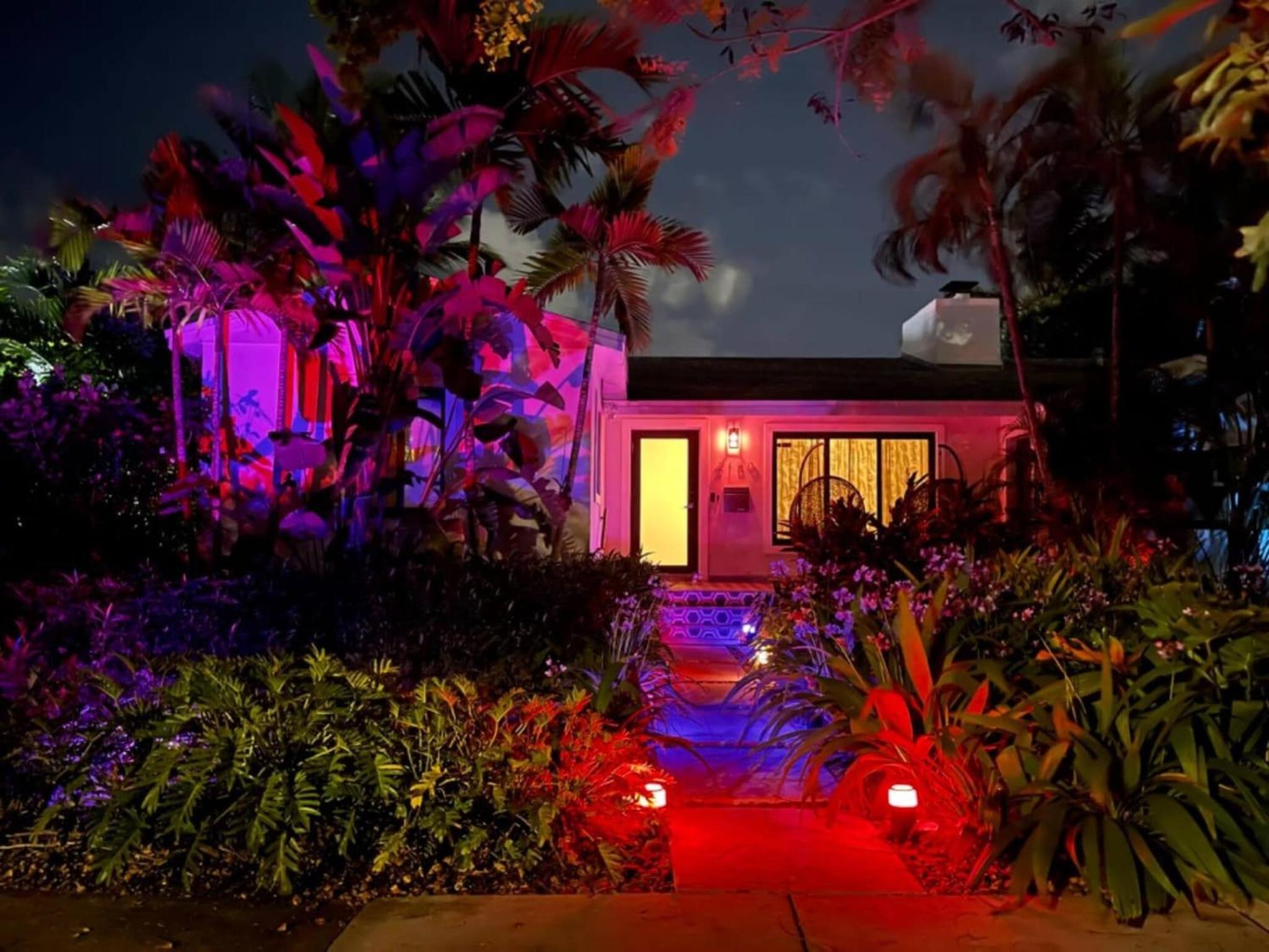 Experience Miami Magic: Tropical Pool Escape