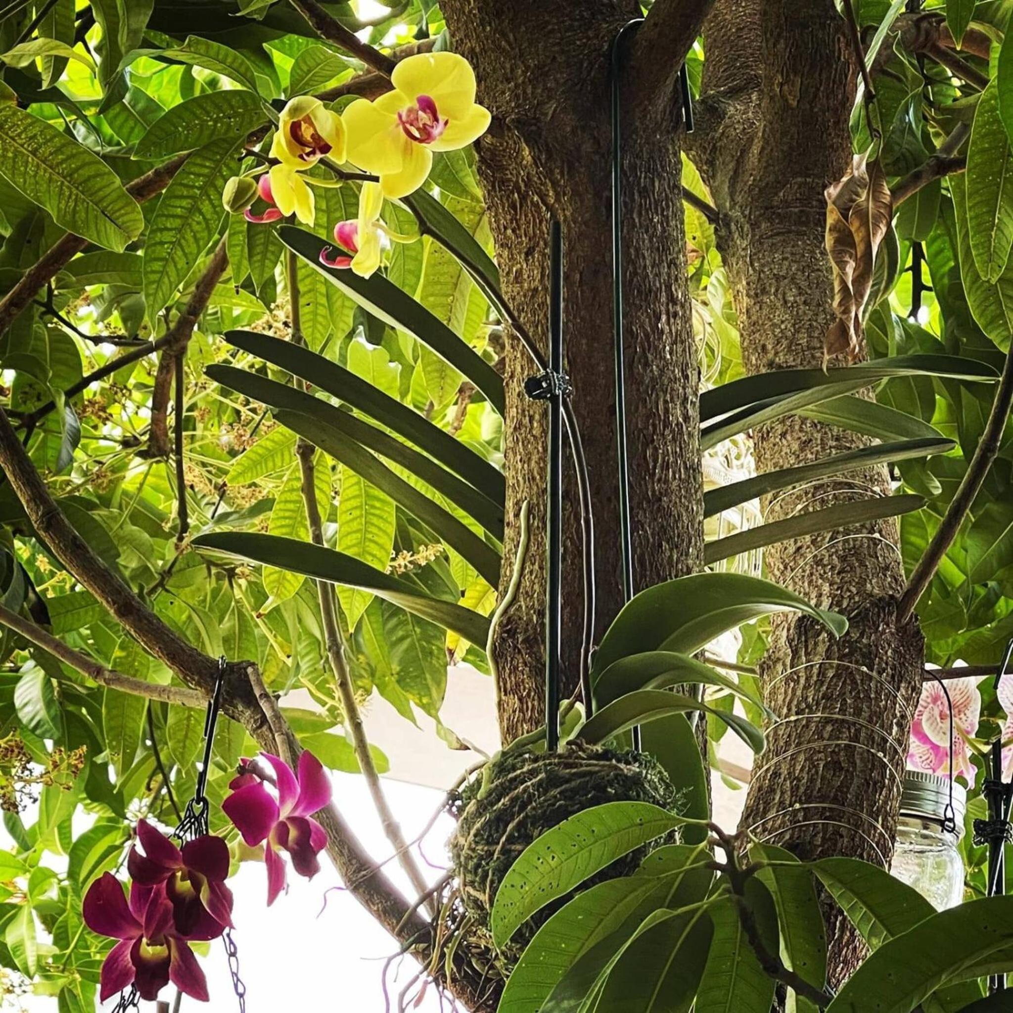 Experience Miami Magic: Tropical Pool Escape
