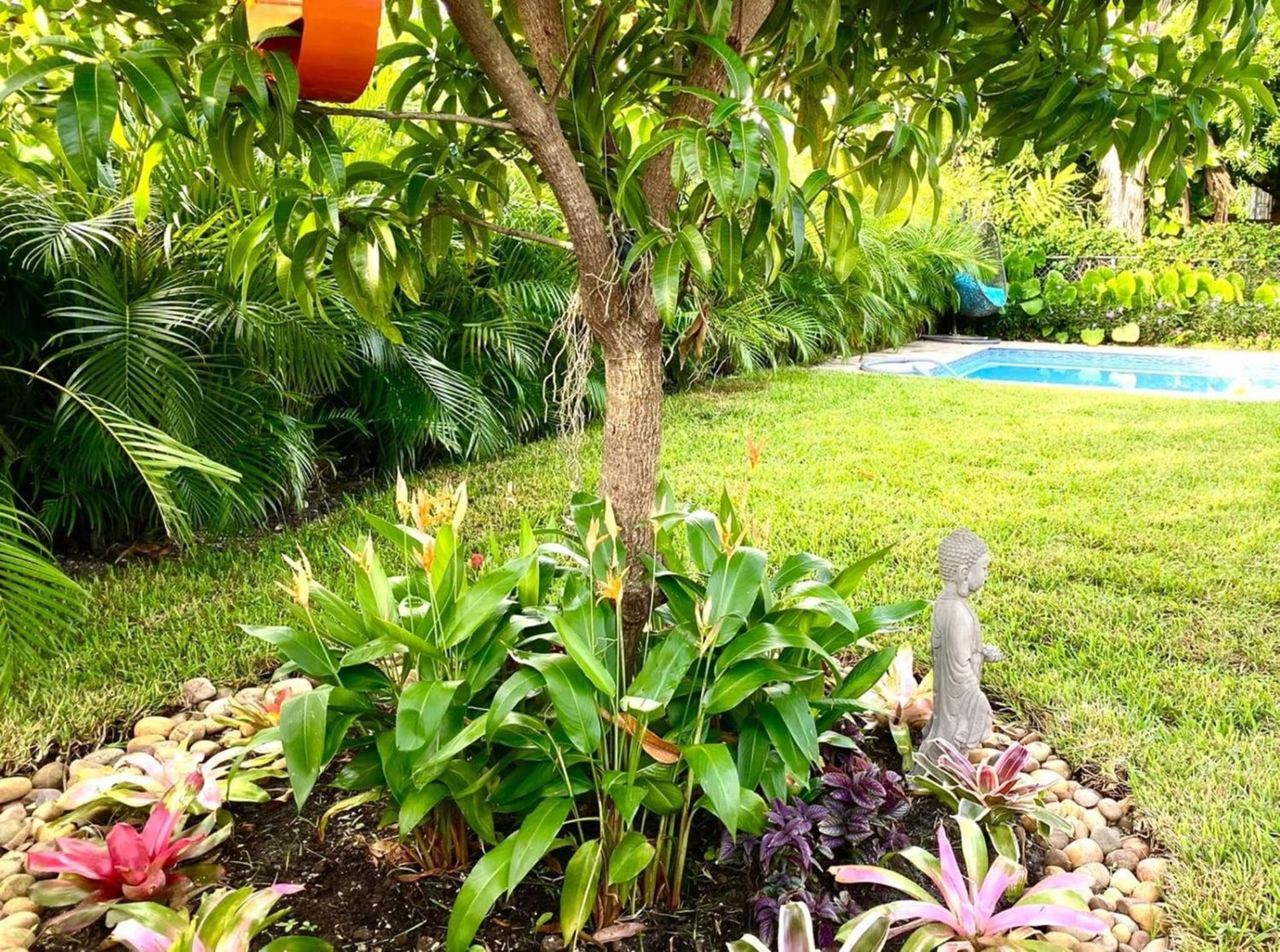 Experience Miami Magic: Tropical Pool Escape