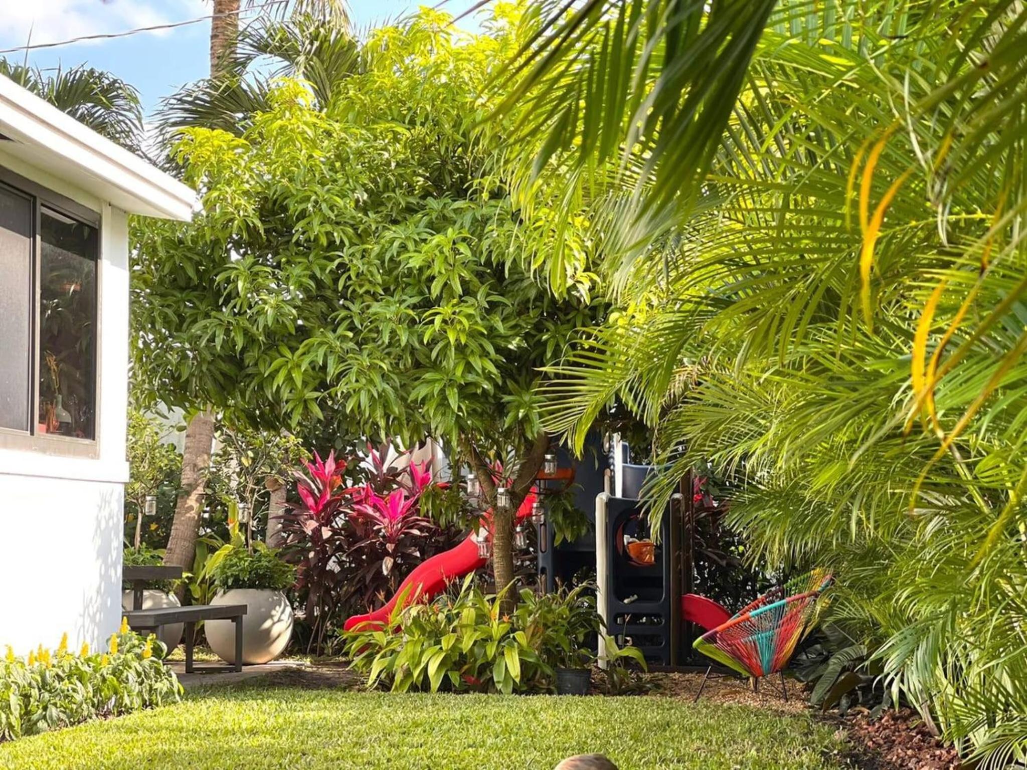 Experience Miami Magic: Tropical Pool Escape