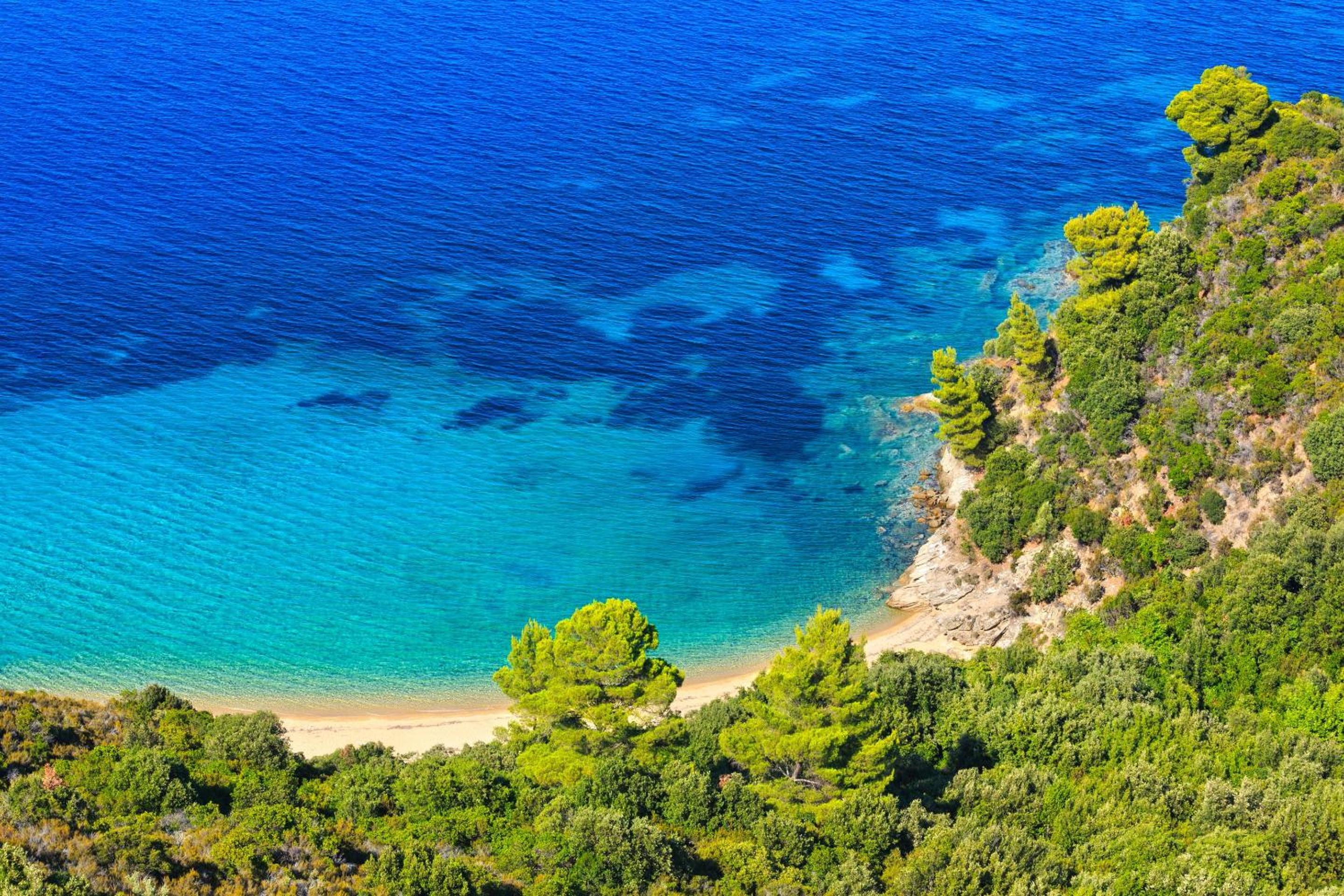 Ikos Oceania, photo 78