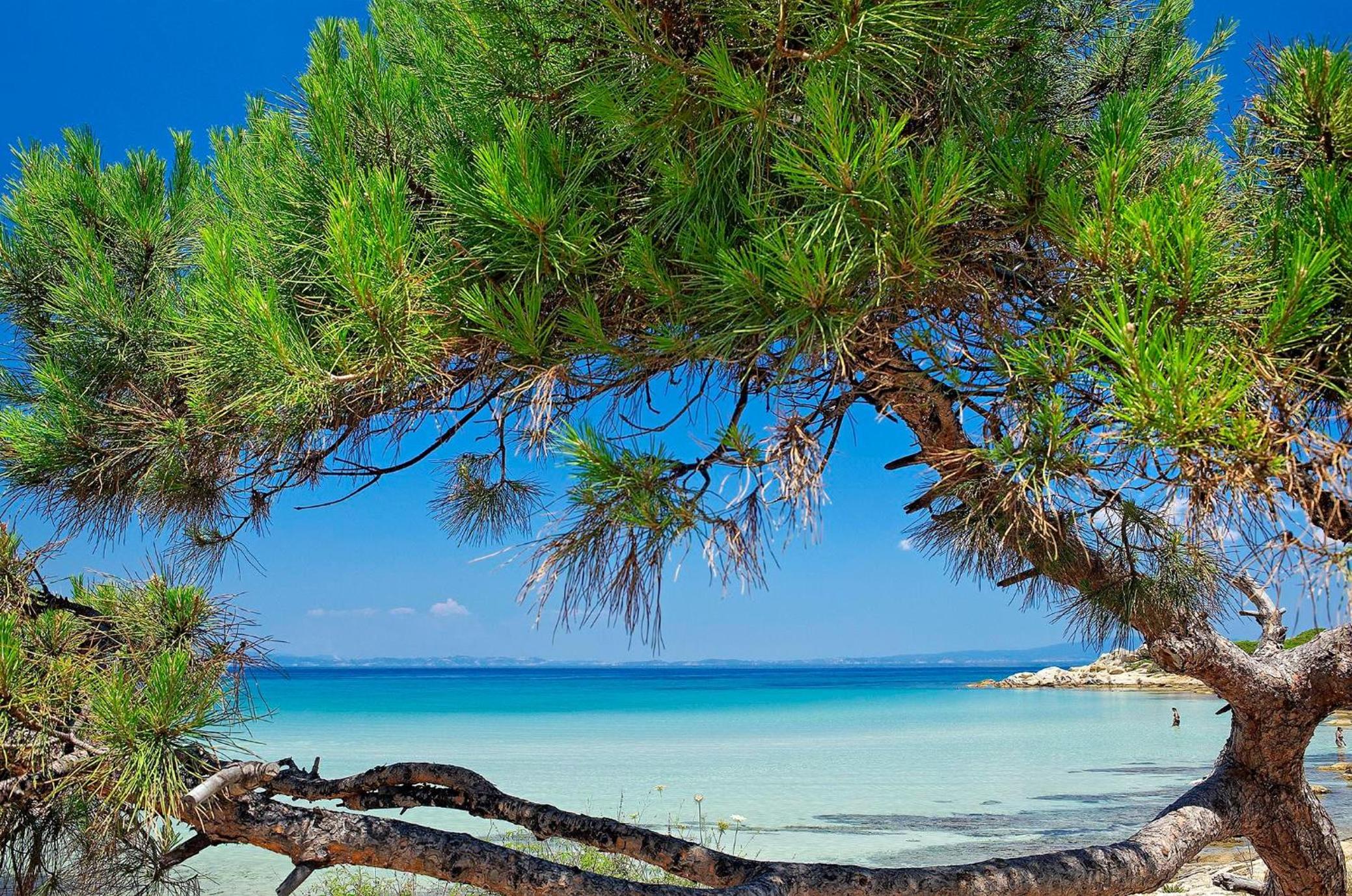 Ikos Oceania, photo 79