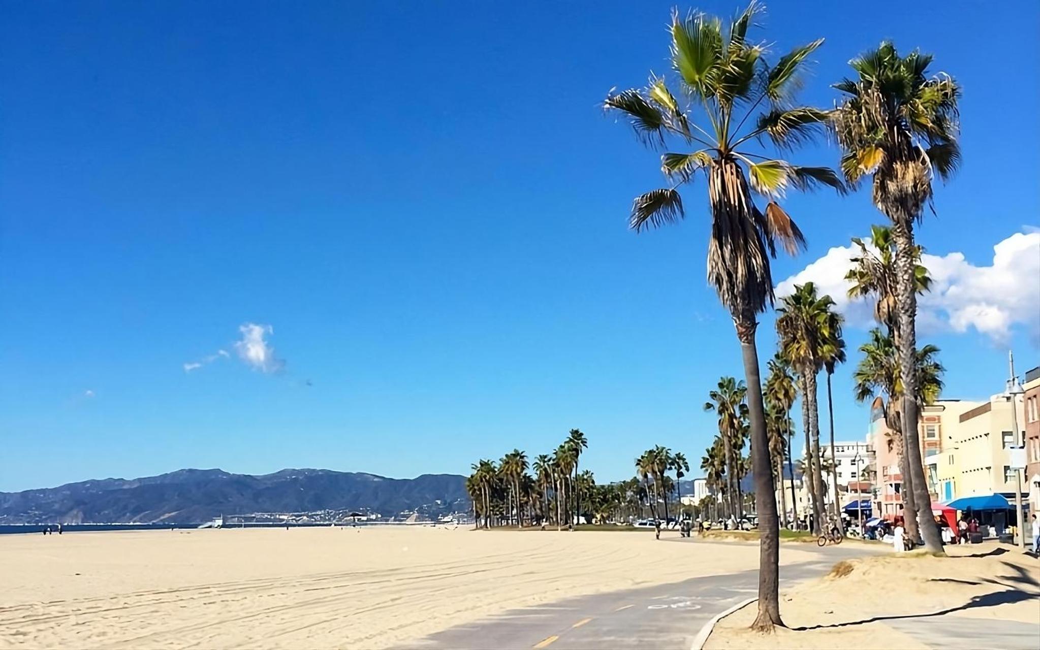 New Lavish Elegant 3BR Home in Mar Vista, Pet Friendly! 10min to Venice Beach!
