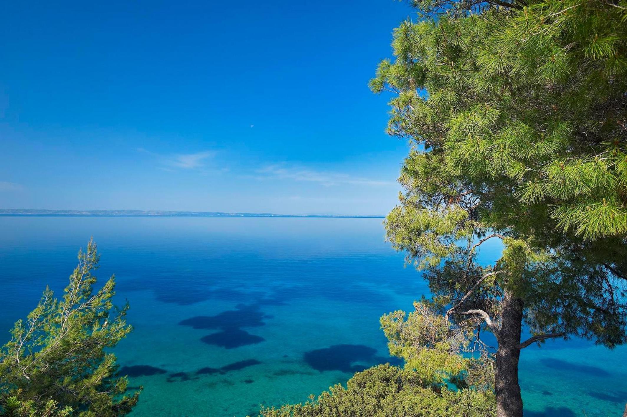 Ikos Oceania, photo 49