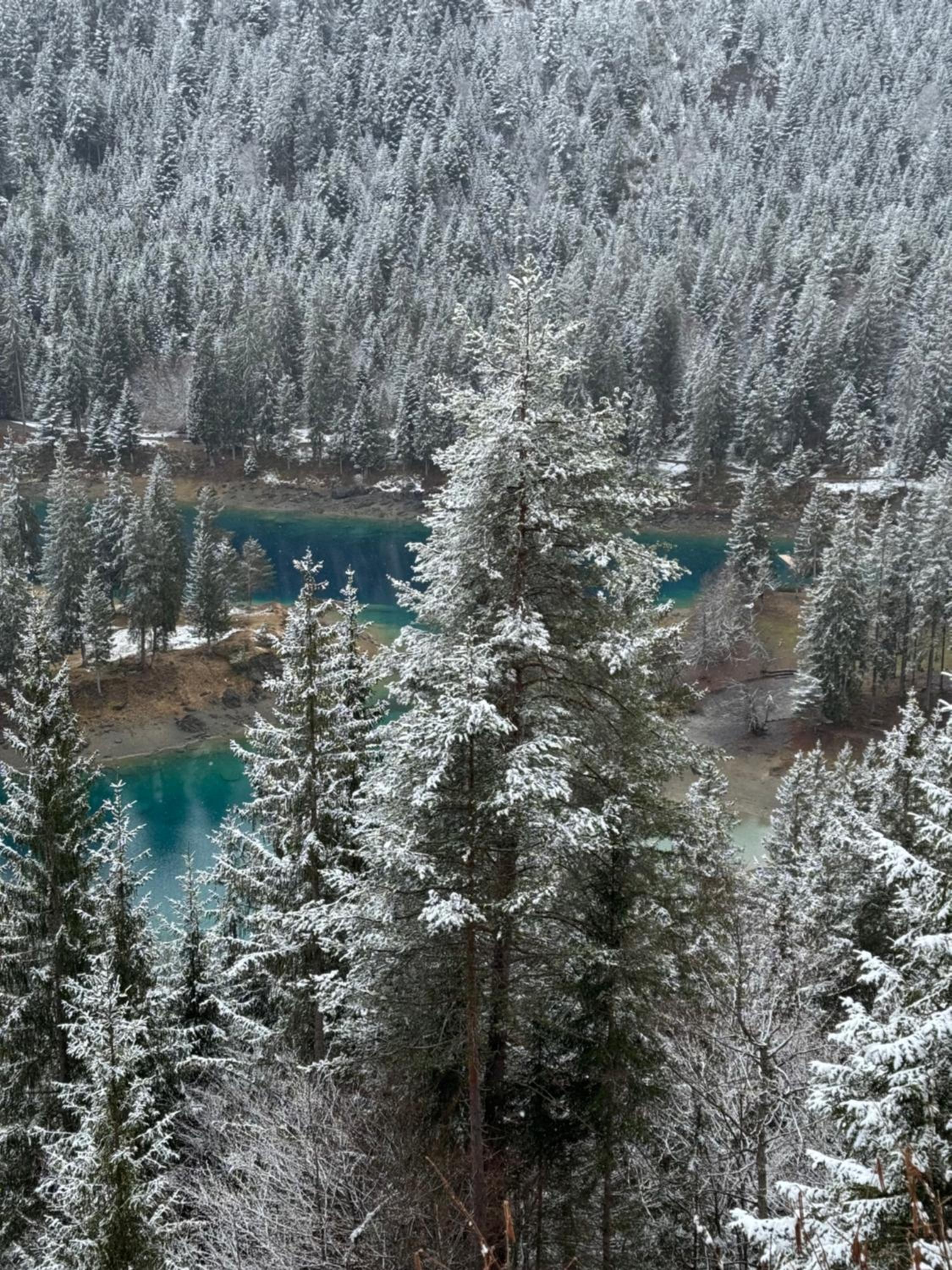 Waldheim Laax Pension