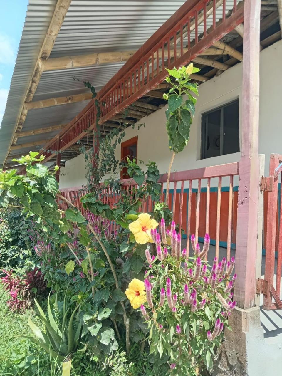 Finca Hotel San Martín Filandia