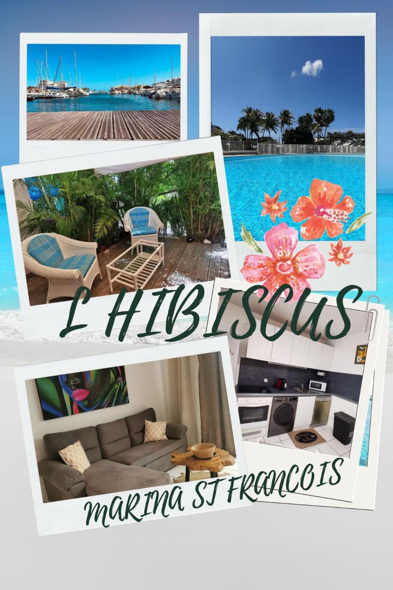 L'HIBISCUS rénové Sept 2025