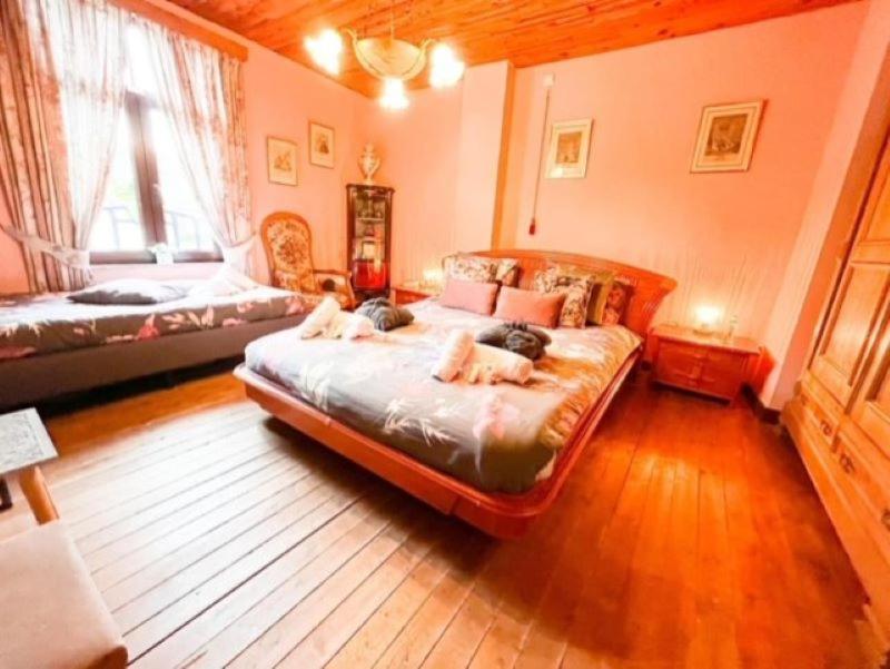 B&B Forêt d'Animaux