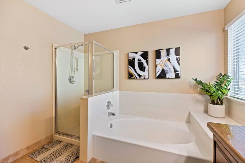 The Entertainment Oasis WPOOL