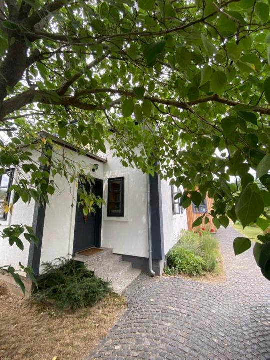 Szofi apartman