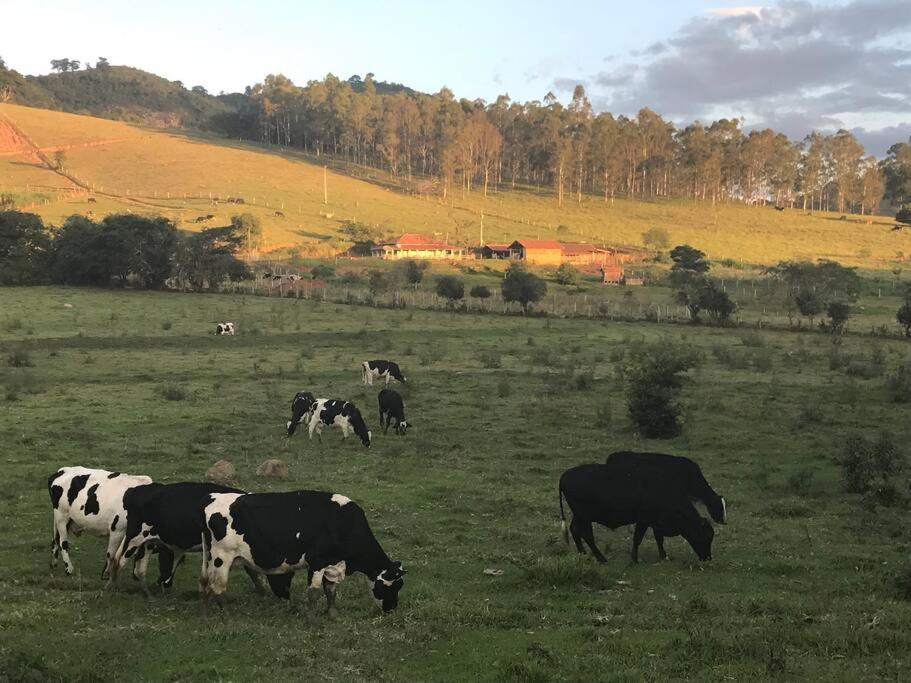 Linda Fazenda Centenária - Conforto e charme