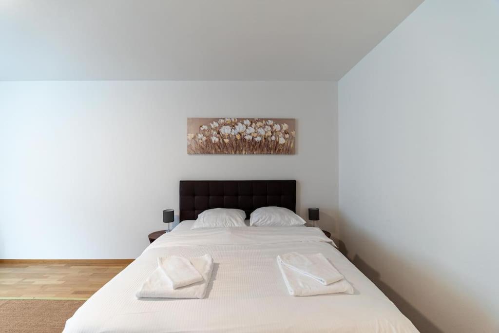 Amazing studio city center - Wille 4