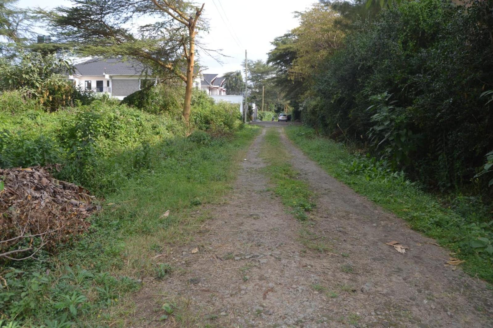Tausi Mweupe view 3