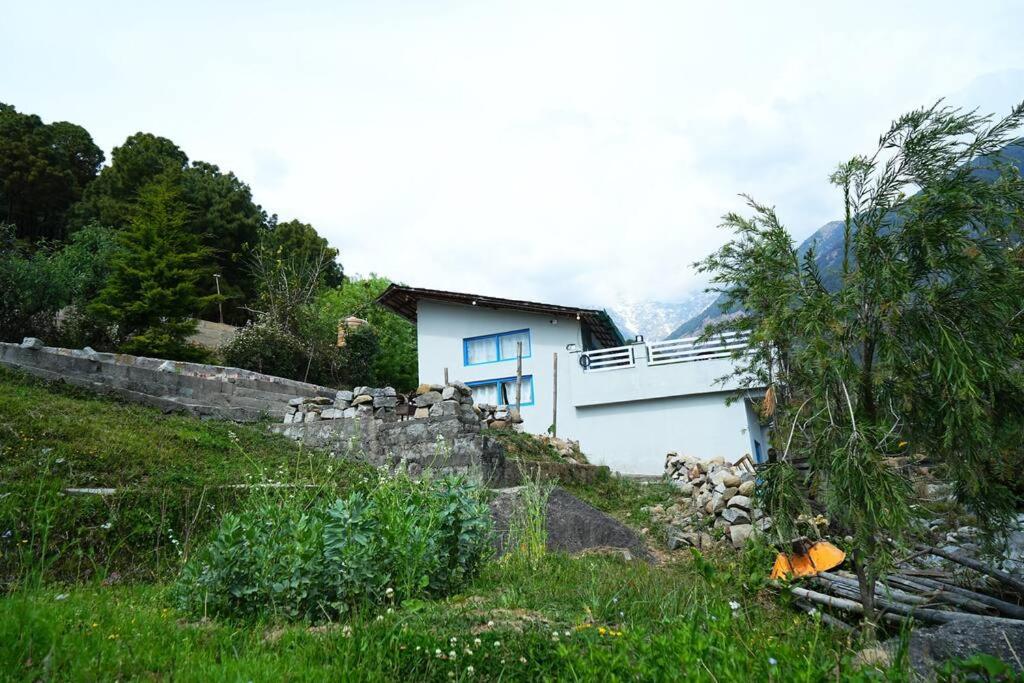 Photo 12
