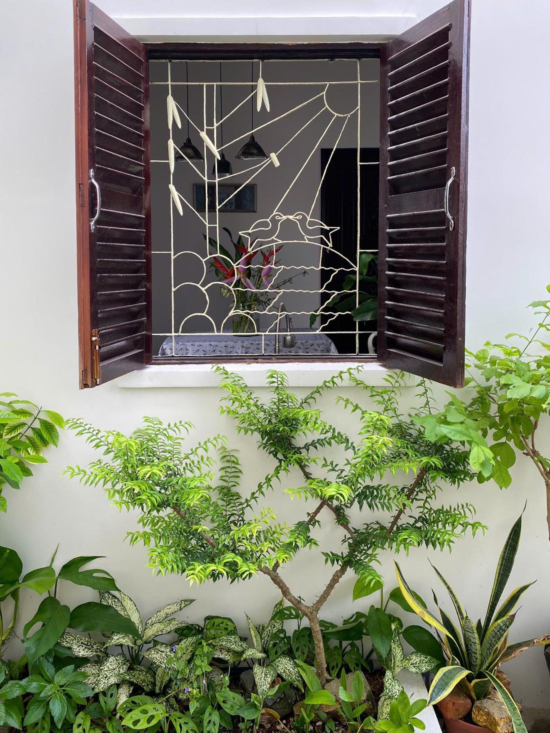 DƯỚI TÁN CÂY homestay view 5