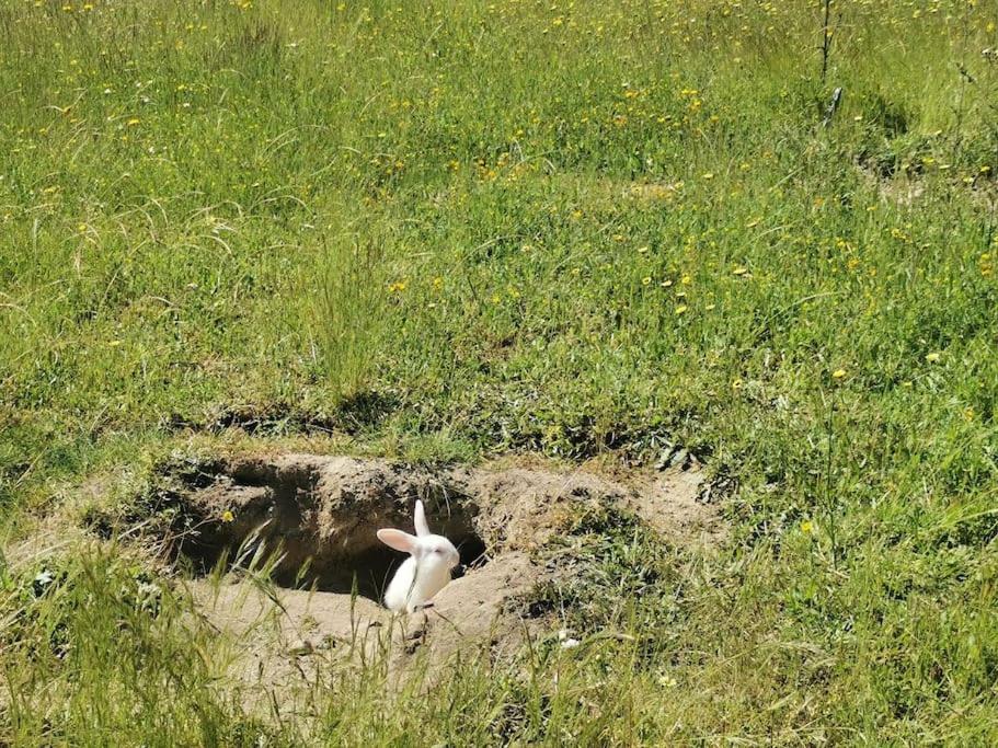 other