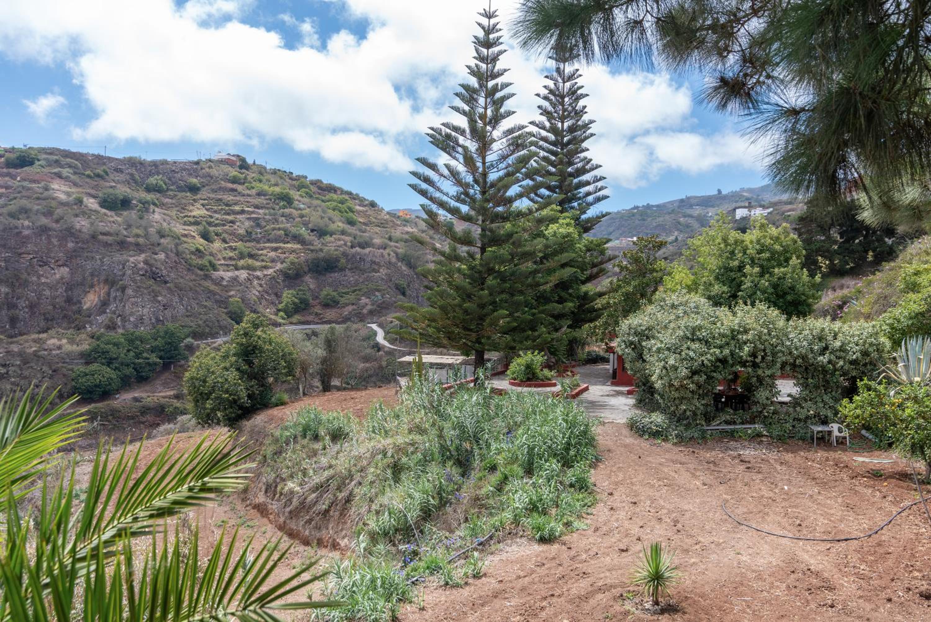 Finca Colladito