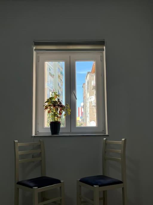 Vibrant & Central Tirana Oasis