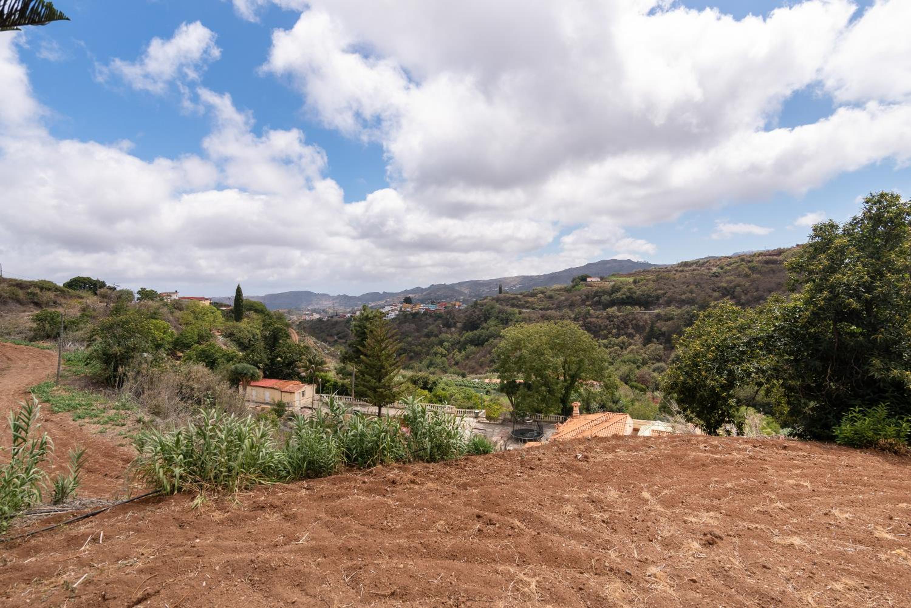 Finca Colladito