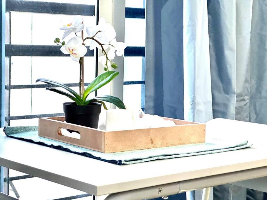 Vista Alta Studio