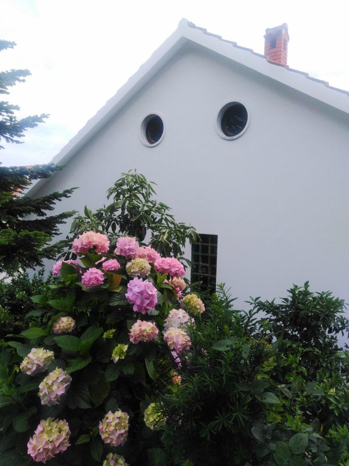 Photo 56
