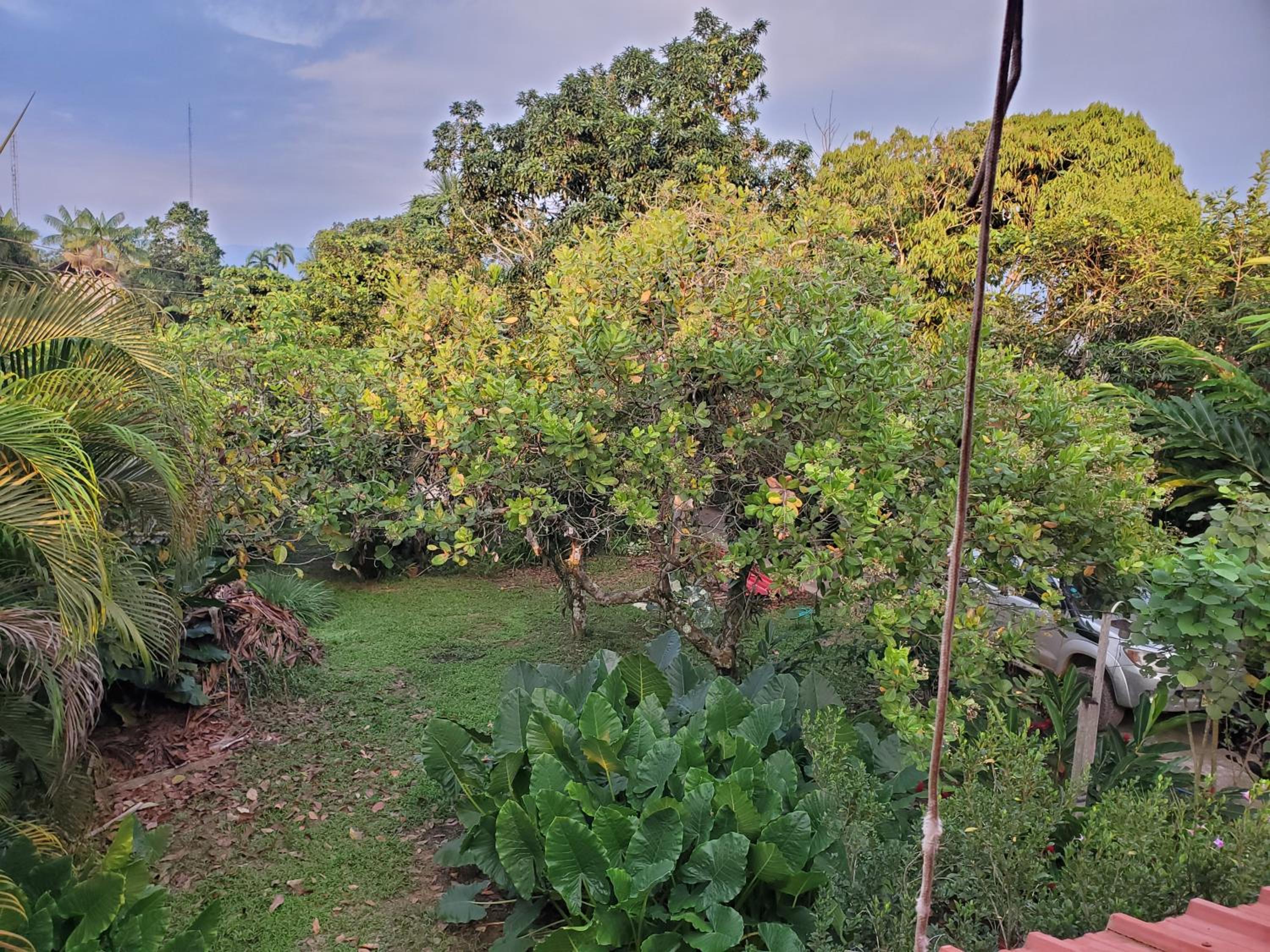 La casa del abuelo Julio view 2
