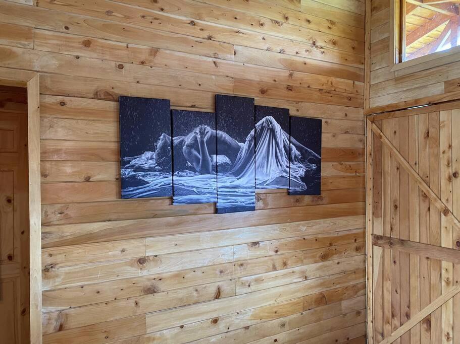 Cabaña Tulipanes - COZY cabin in an awesome place!