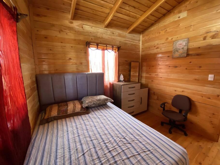 Cabaña Tulipanes - COZY cabin in an awesome place!