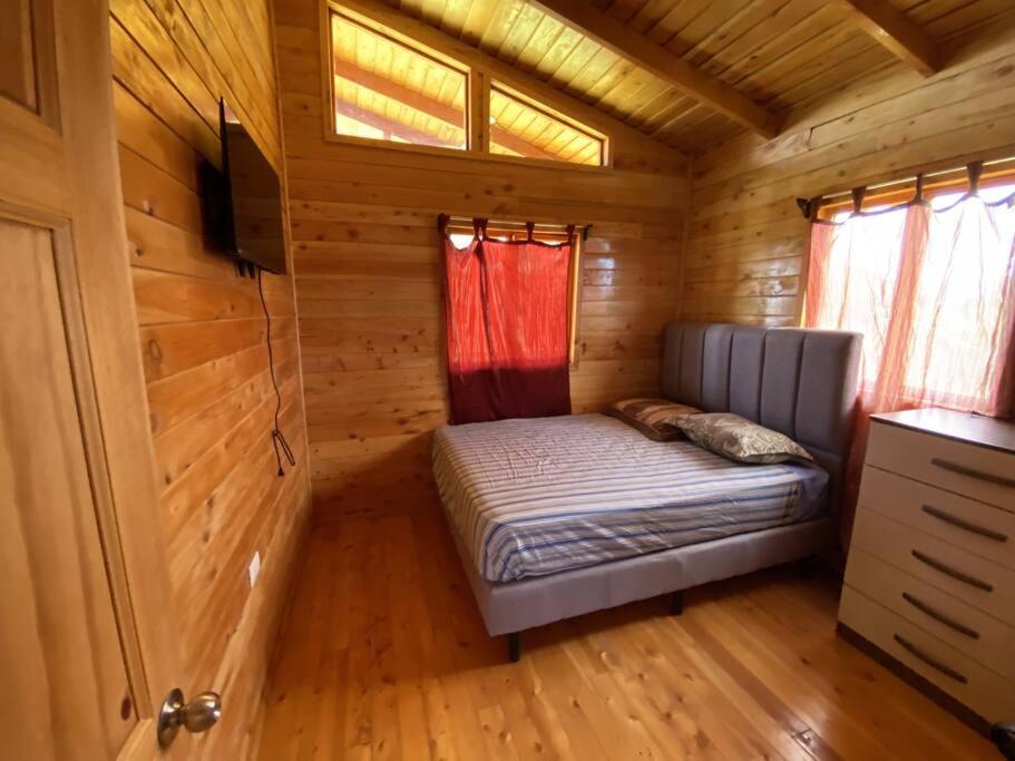Cabaña Tulipanes - COZY cabin in an awesome place!