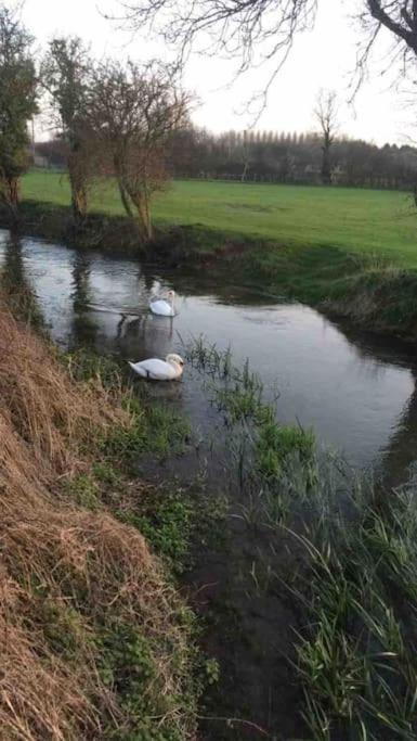 Thames Cottage, Old Mill Farm, Cotswold Water Park view 3